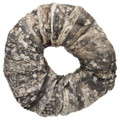 Rosquillas de piel y pescado NutraDog (1 kg)