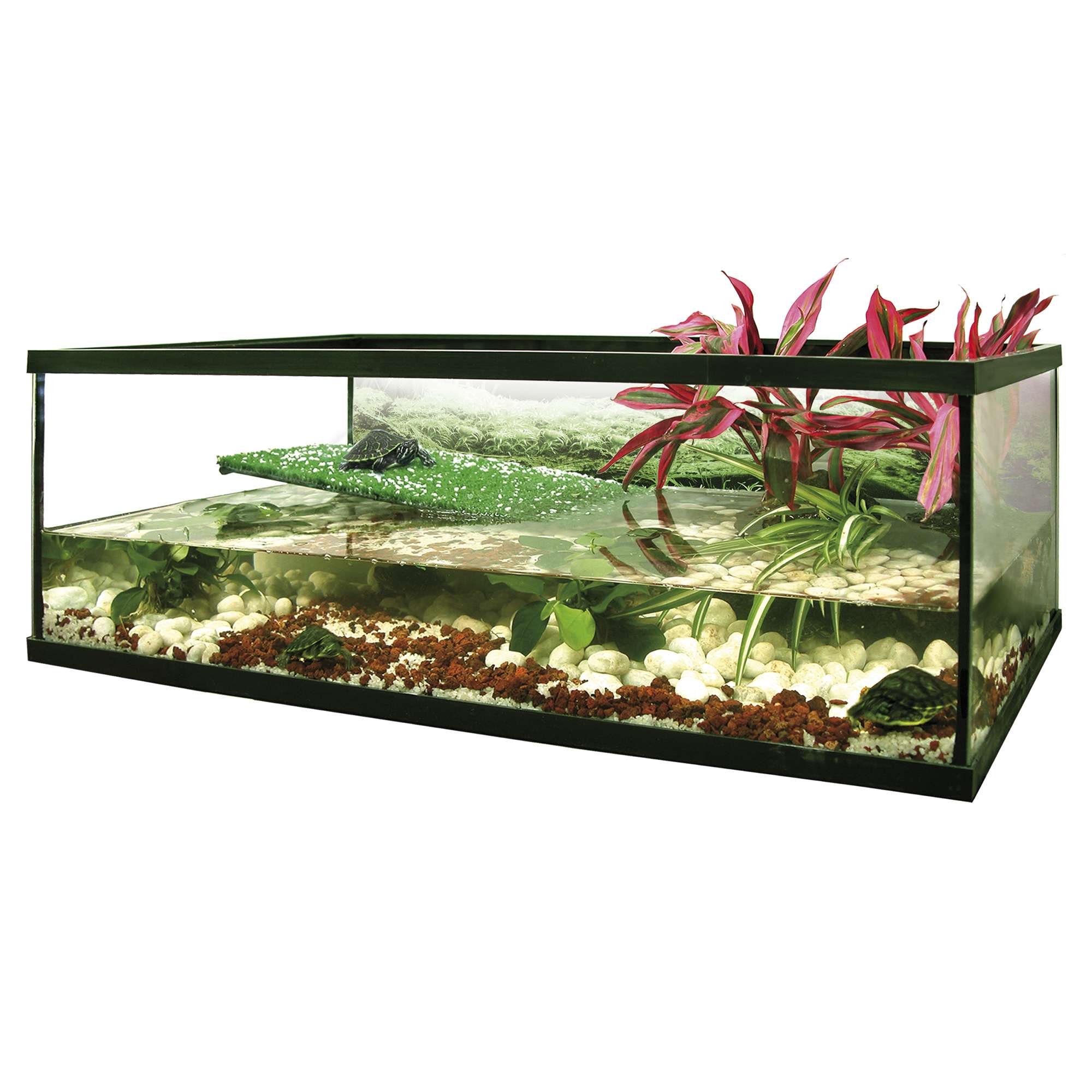 kfl30-kit-tortuguera-florida_general_2914.jpg kfl30-kit-tortuguera-florida_general_2914.jpg