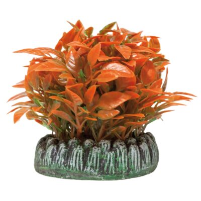 Alternanthera de AQUATIC PLANTS (PLÁSTICO) (8 cm)