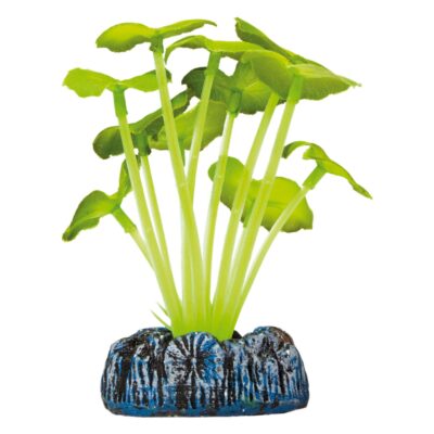 Hydrocotyle de AQUATIC PLANTS (SEDA)