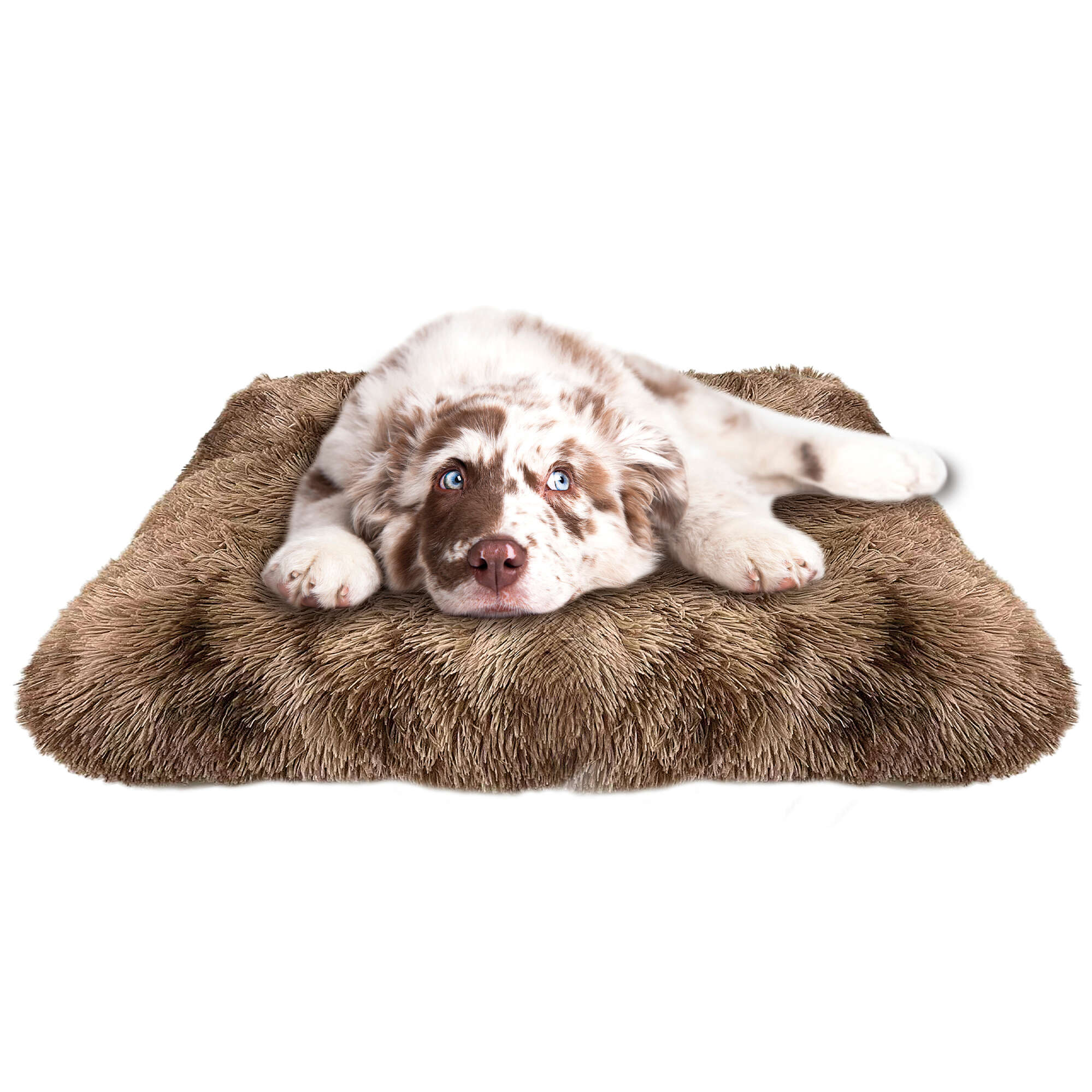 cpsb1m-cuna-silk-premier-dog-marron_general_14911.jpg cpsb1m-cuna-silk-premier-dog-marron_general_14911.jpg