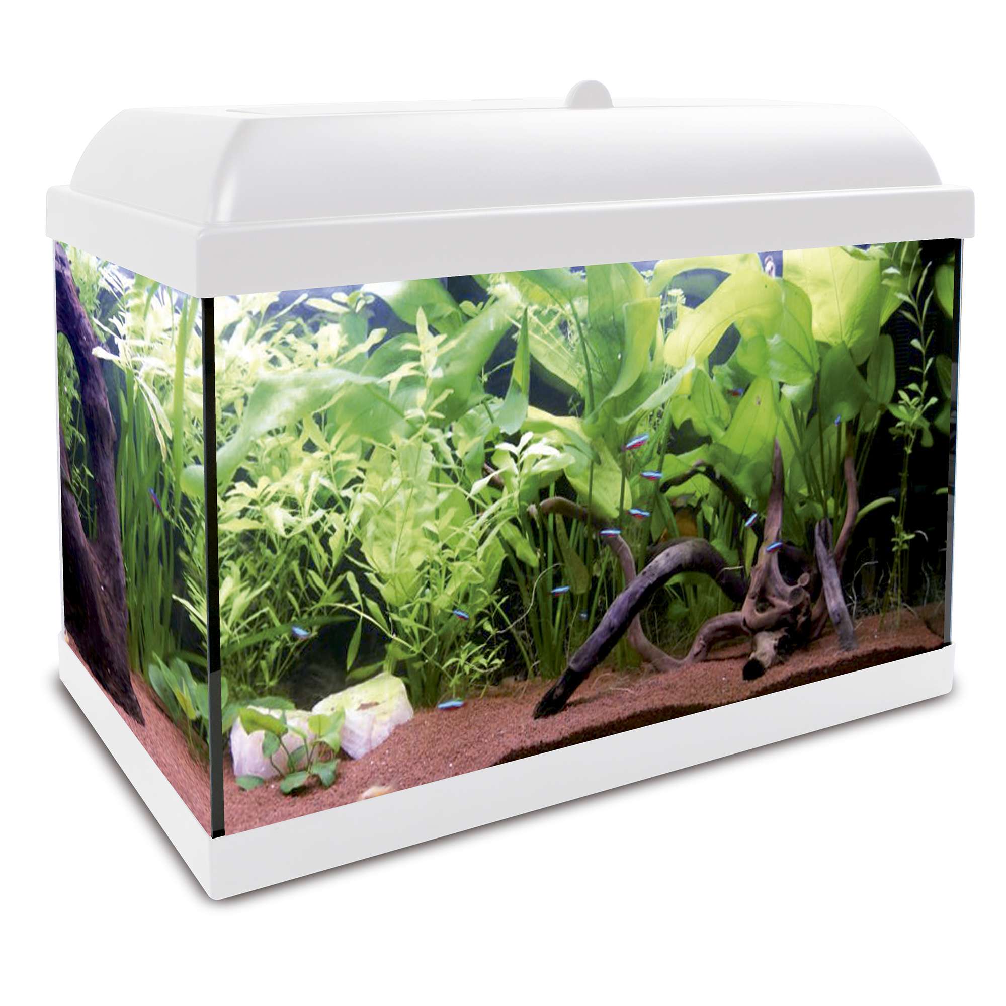 kha25b-kit-hydra-25-para-agua-dulce-25-l_general_2938.jpg kha25b-kit-hydra-25-para-agua-dulce-25-l_general_2938.jpg