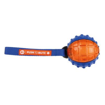 Pelota Push to Mute GiGwi (23 cm)