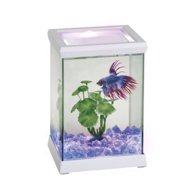 Betta Space LED blanco (4.95 l)