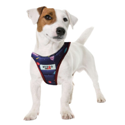 Arnés Planetas XT-DOG