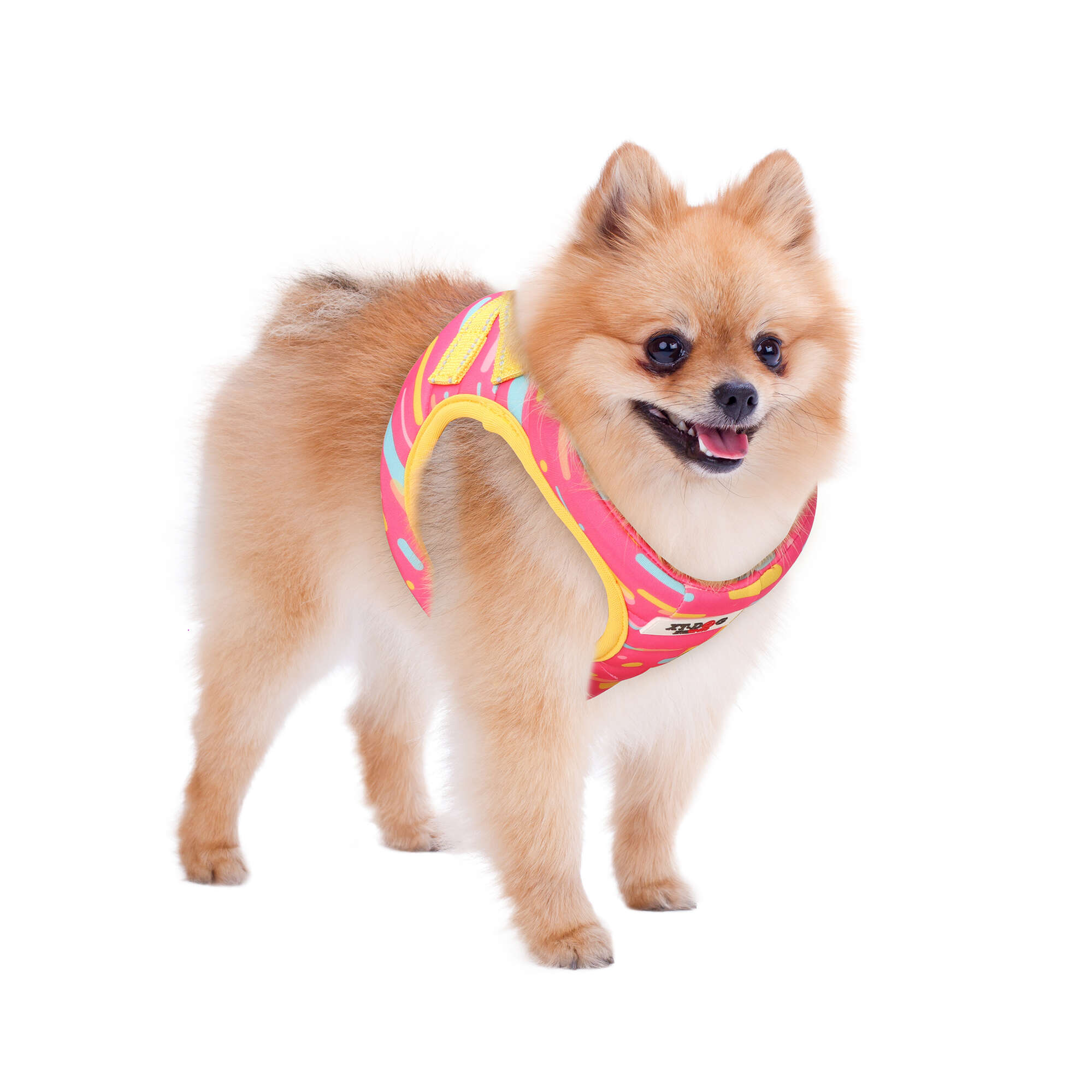 da7550-arnes-planetas-rosa-xt-dog_general_13122.jpg da7550-arnes-planetas-rosa-xt-dog_general_13122.jpg