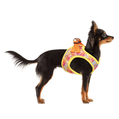 Arnés MESH FLORES XT-DOG