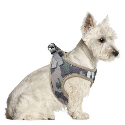 Arnés MESH CAMO XT-DOG