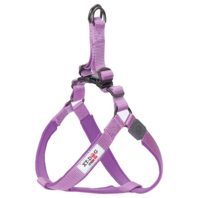 Arnés nylon + neopreno lila XT-DOG