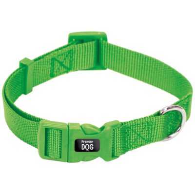 Collar de nylon verde Premier DOG