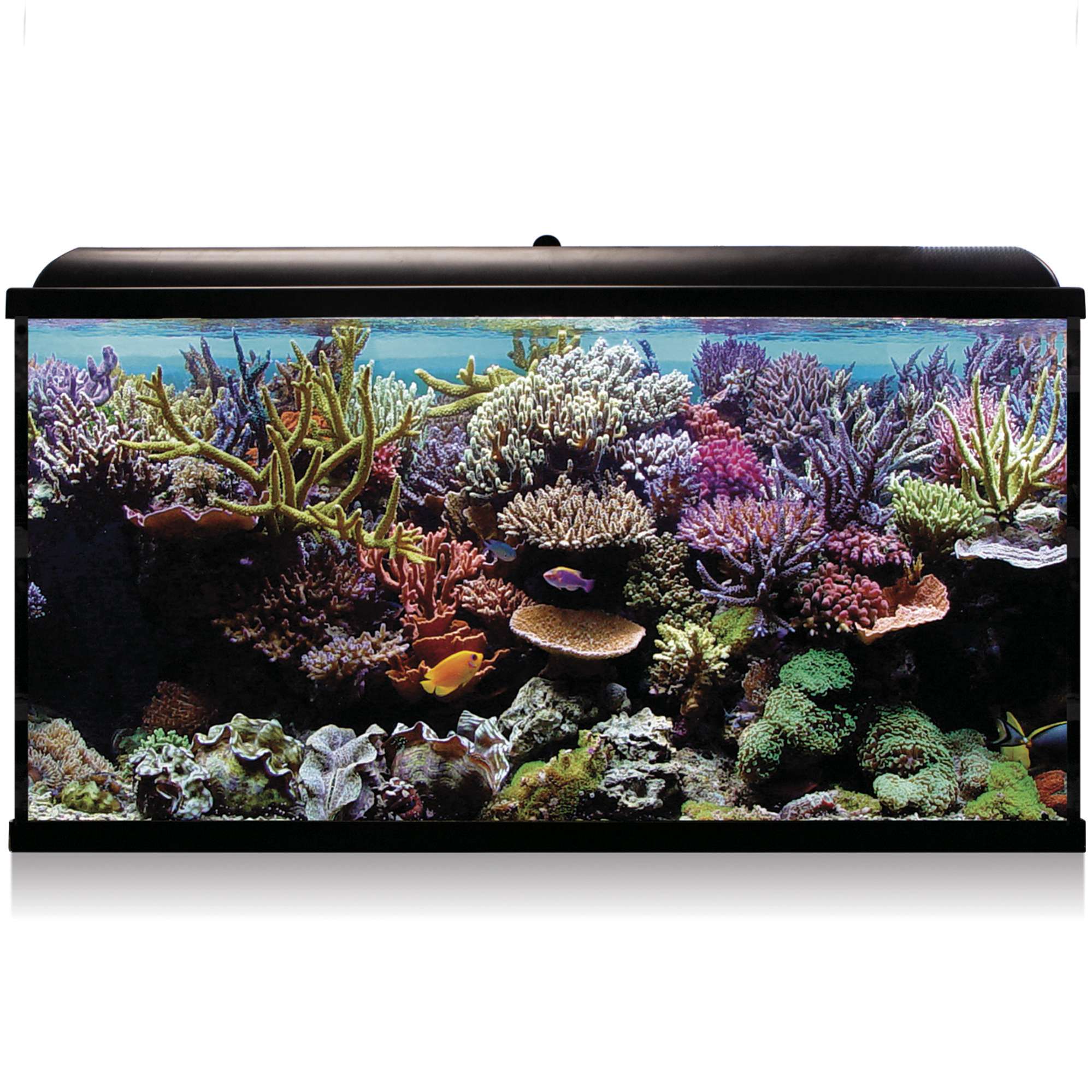 khs300n-kit-hydra-300-para-agua-salada-300-l_general_10556.jpg khs300n-kit-hydra-300-para-agua-salada-300-l_general_10556.jpg