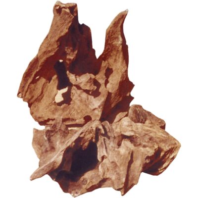 Tronco natural de RAÍZ DE MANGLAR (25 uds.)