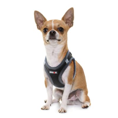 Arnés NEO negro XT-DOG