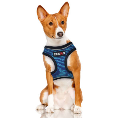Arnés Step-in azul XT-DOG