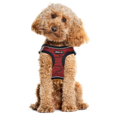 Arnés Step-in rojo XT-DOG