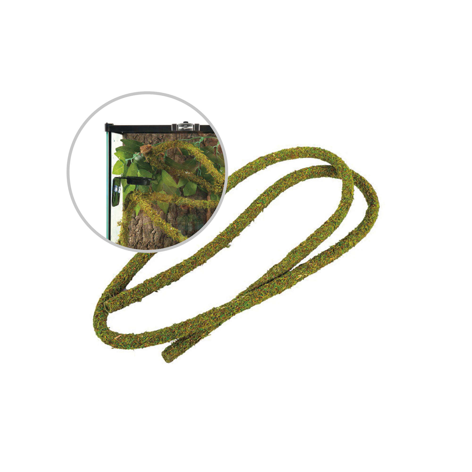 rv0210b-liana-tropical-con-musgo-reptizoo-200-cm_general_16661.jpg