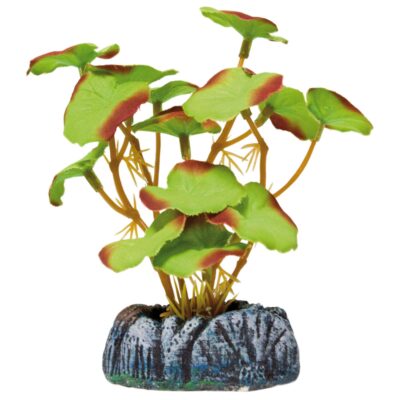 Nenúfar de AQUATIC PLANTS (SEDA)