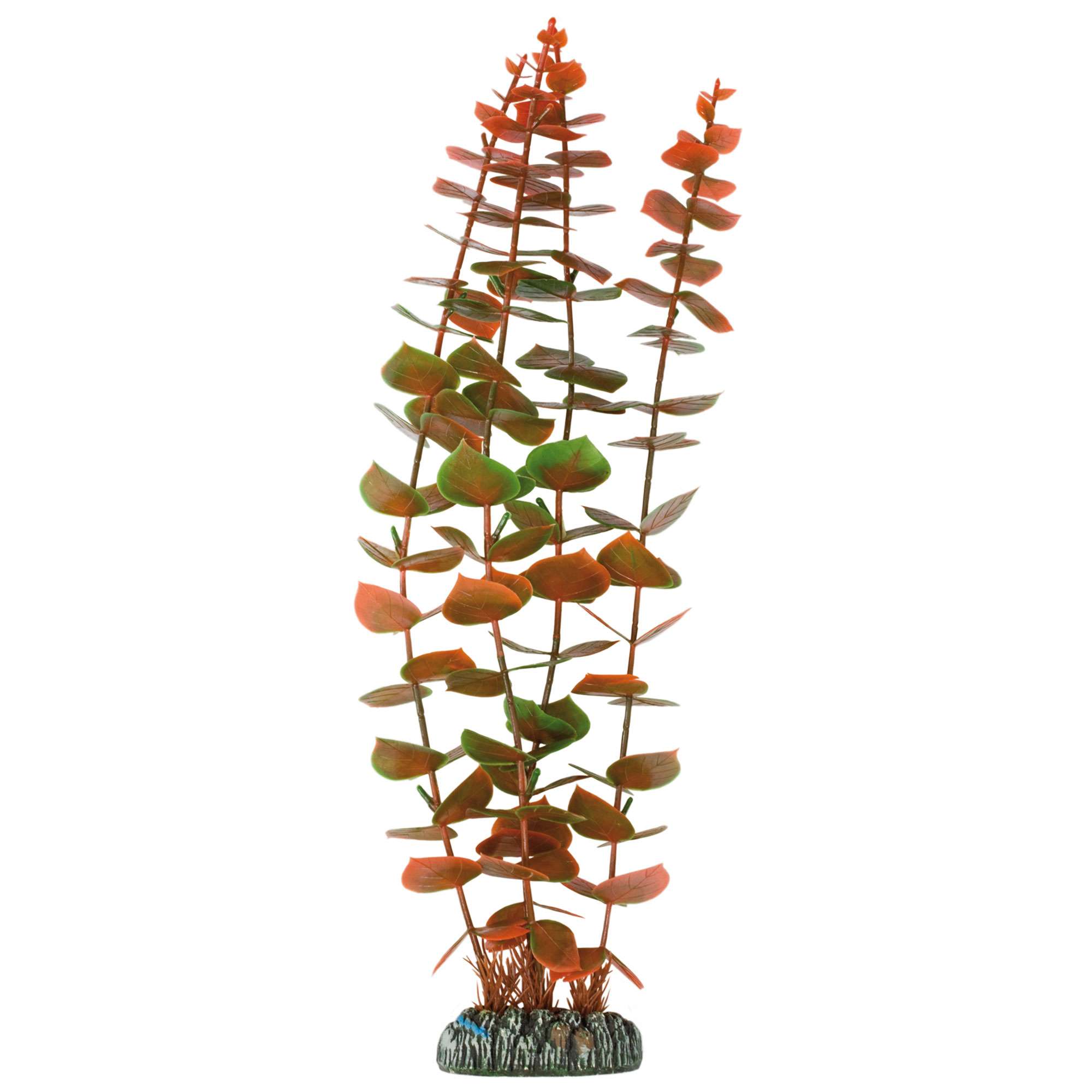 ap1002-alternanthera-de-aquatic-plants-plastico-39-cm_general_110.jpg ap1002-alternanthera-de-aquatic-plants-plastico-39-cm_general_110.jpg