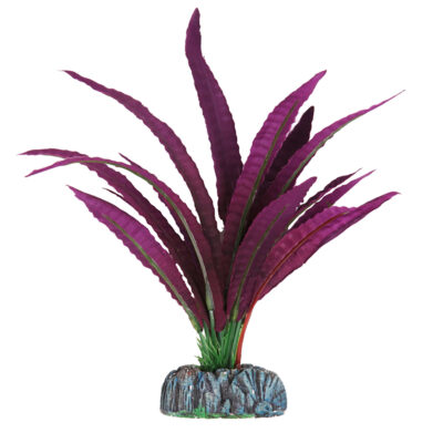Vallisneria púrpura de AQUATIC PLANTS (SEDA)
