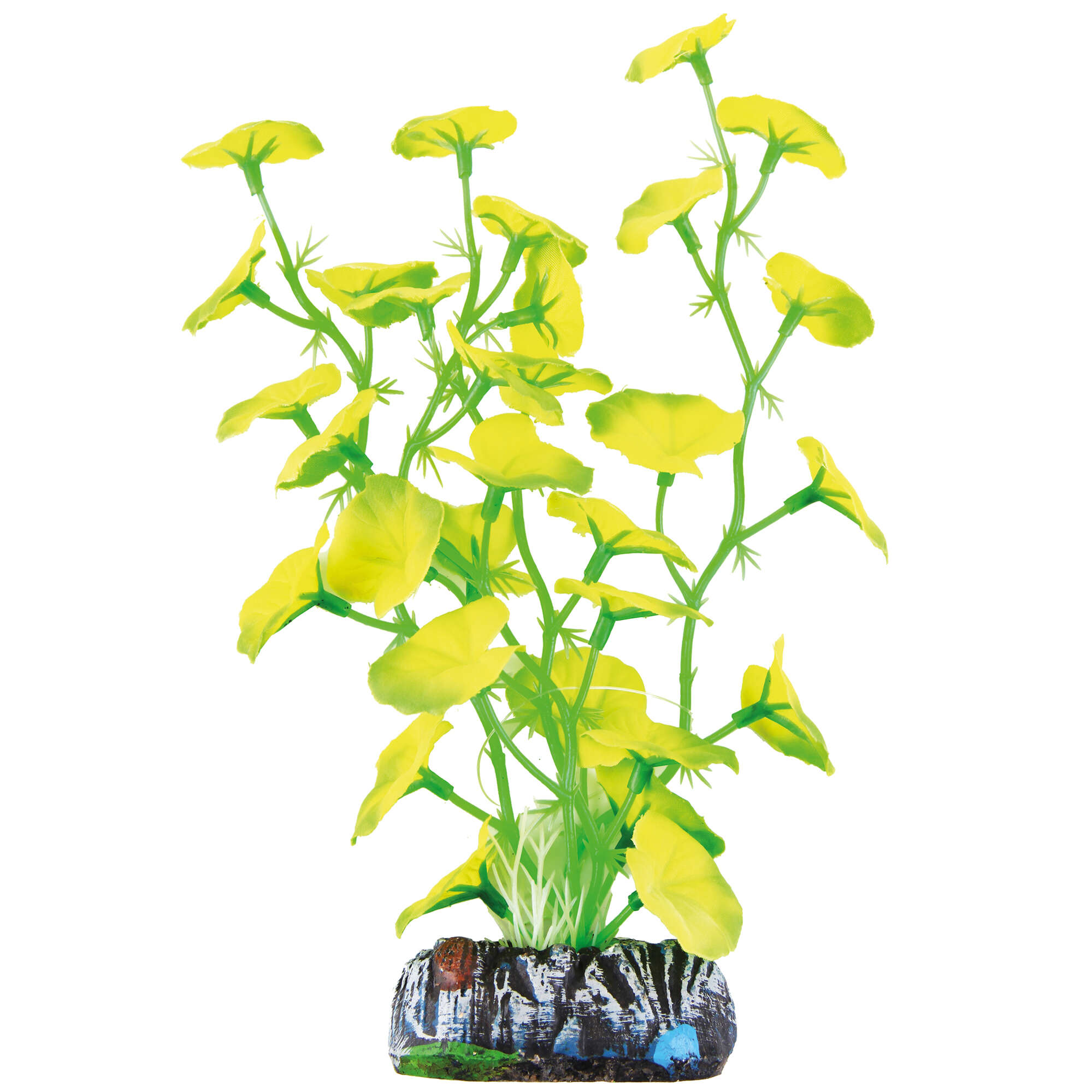 ap1412-stuckenia-verde-de-aquatic-plants-seda_general_19323.jpg