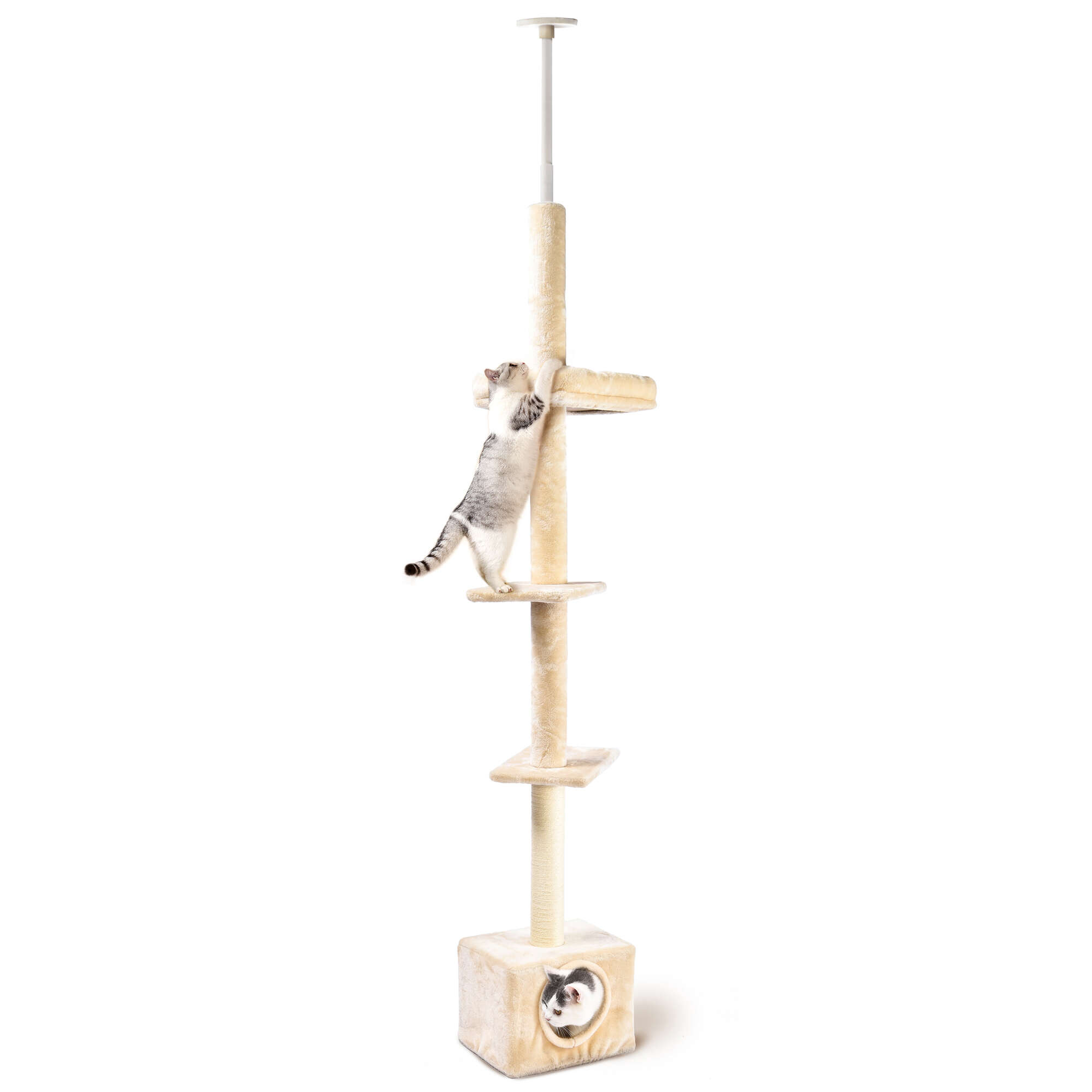 cm5080-rascador-sky-black-white-premier-cat-288-cm_general_14423.jpg cm5080-rascador-sky-black-white-premier-cat-288-cm_general_14423.jpg