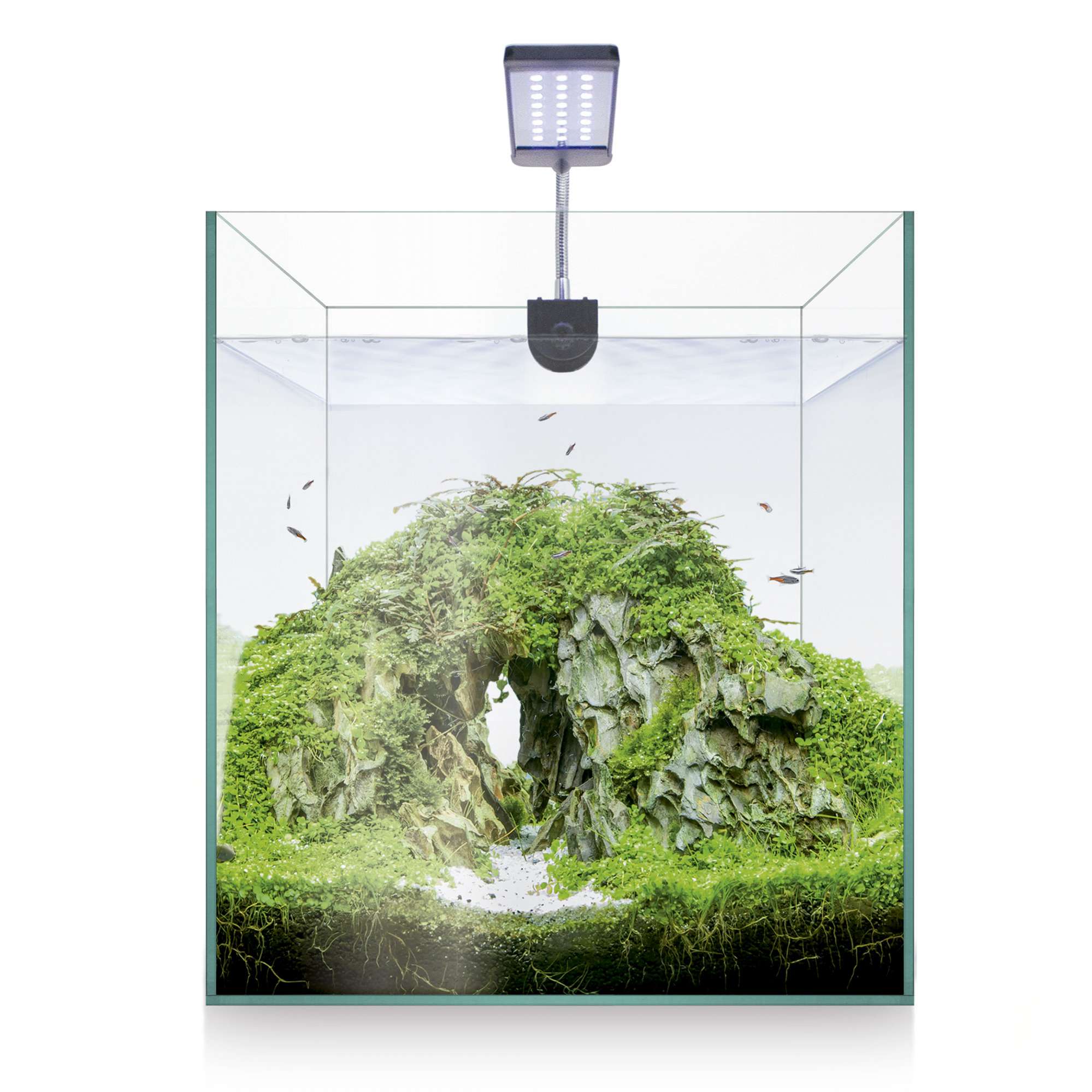 knaq20-kit-nano-aquascape-rgb-20-20-l_general_8846.jpg knaq20-kit-nano-aquascape-rgb-20-20-l_general_8846.jpg