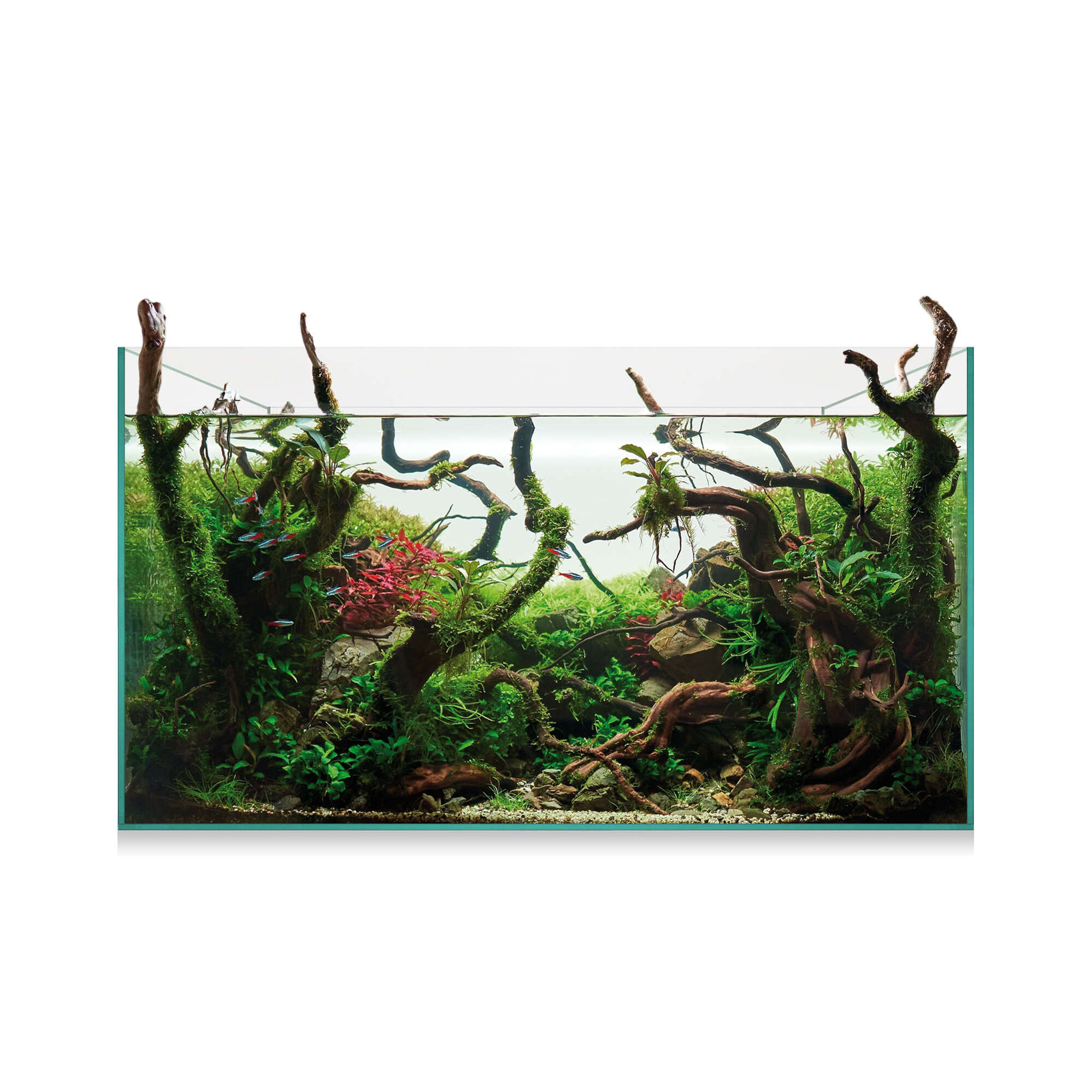 aaq145-urna-aquascape-145-143-l_general_16438.jpg aaq145-urna-aquascape-145-143-l_general_16438.jpg