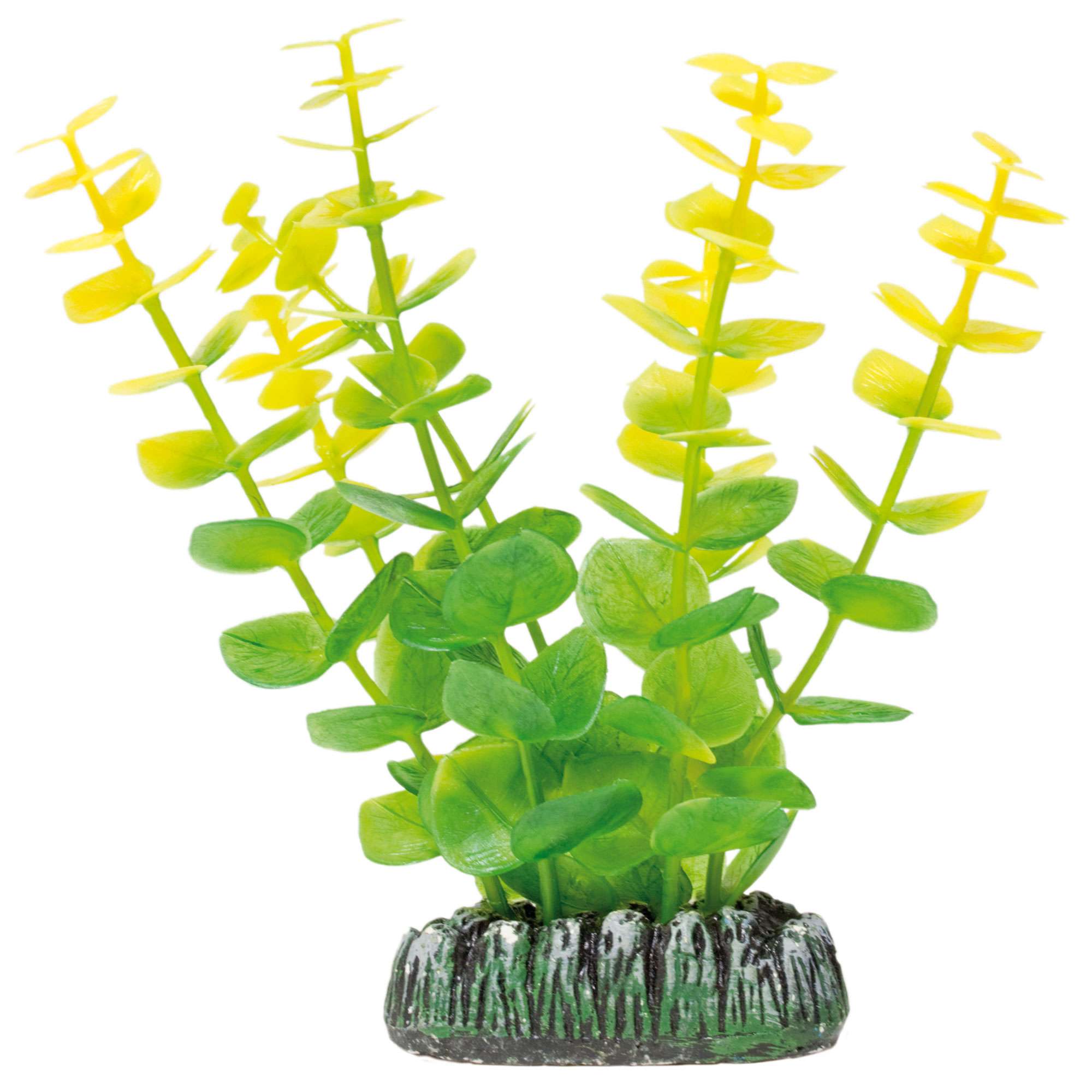 ap1009-bacopa-de-aquatic-plants-plastico-13-cm_general_117.jpg ap1009-bacopa-de-aquatic-plants-plastico-13-cm_general_117.jpg