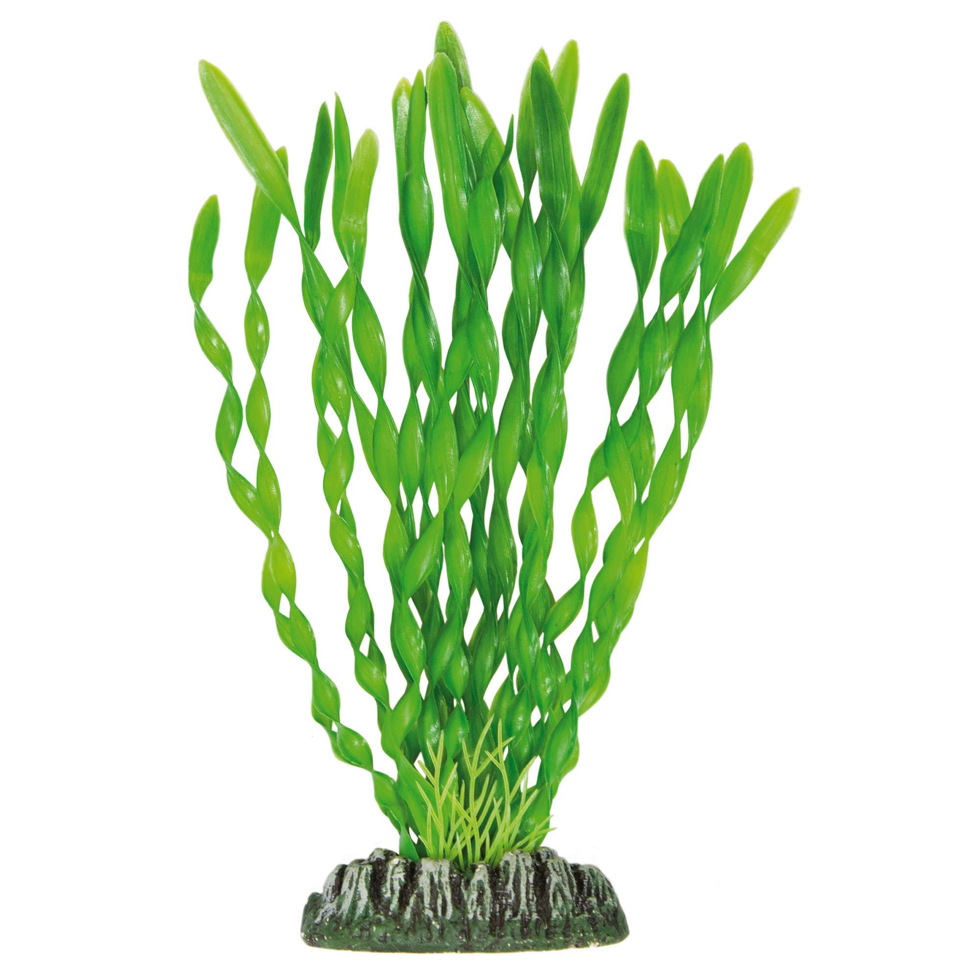 ap1034-vallisneria-de-aquatic-plants-plastico-21-5-cm_general_142.jpg ap1034-vallisneria-de-aquatic-plants-plastico-21-5-cm_general_142.jpg