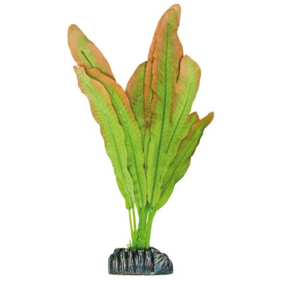 Microsorium de AQUATIC PLANTS (SEDA)