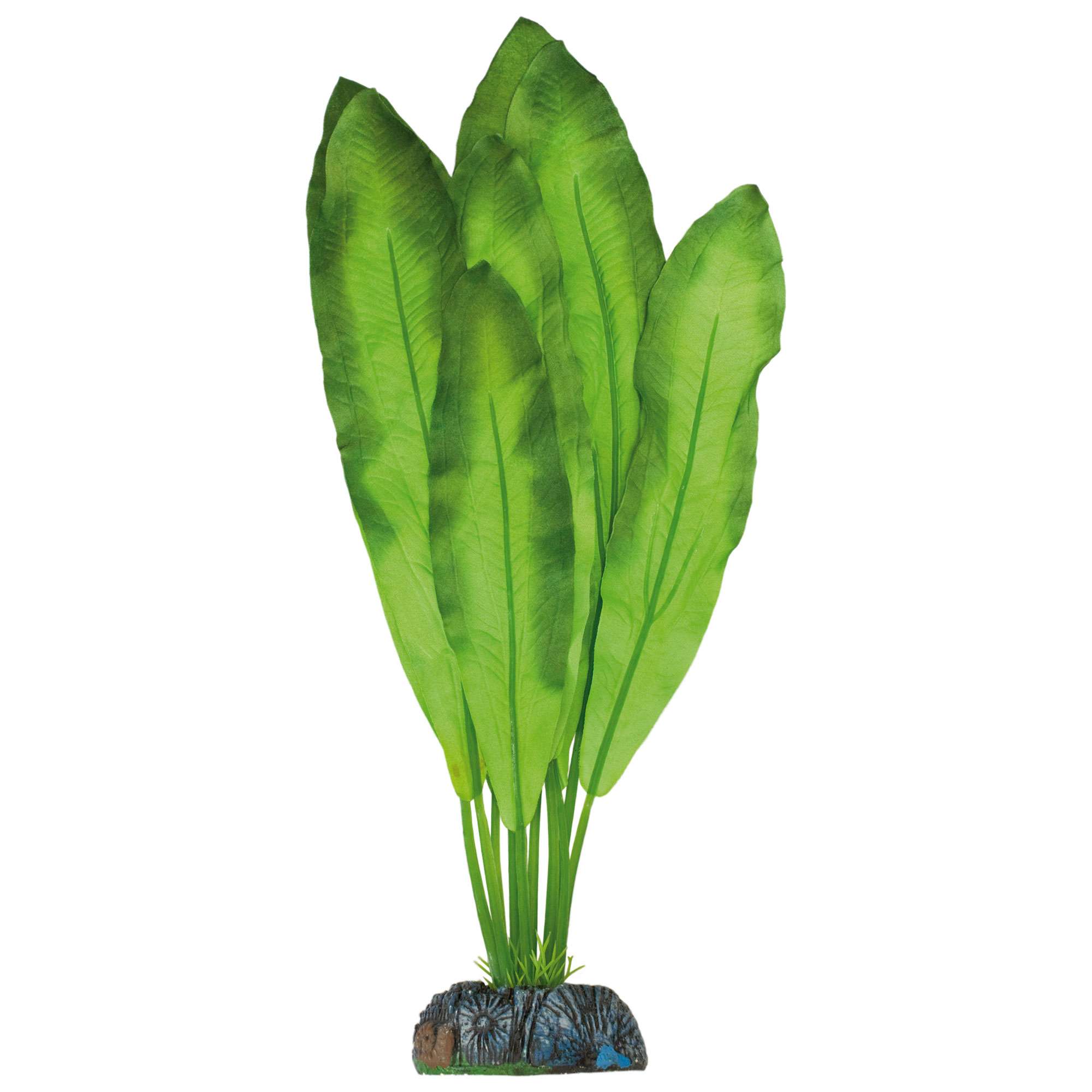 ap1152-polygonum-de-aquatic-plants-seda_general_185.jpg ap1152-polygonum-de-aquatic-plants-seda_general_185.jpg