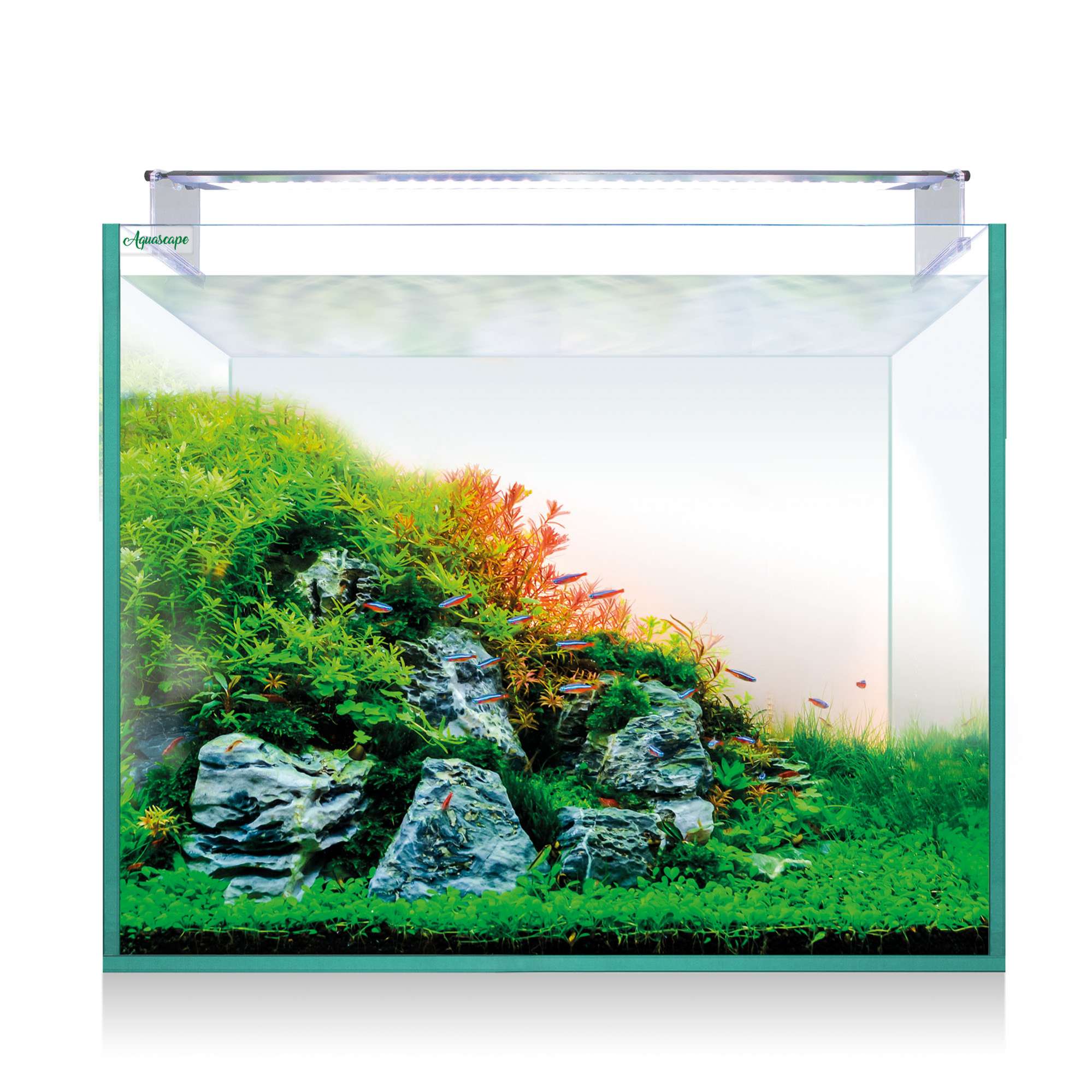 kaq150-kit-aquascape-rgb-pro-extra-claro-150-136-l_general_10770.jpg kaq150-kit-aquascape-rgb-pro-extra-claro-150-136-l_general_10770.jpg