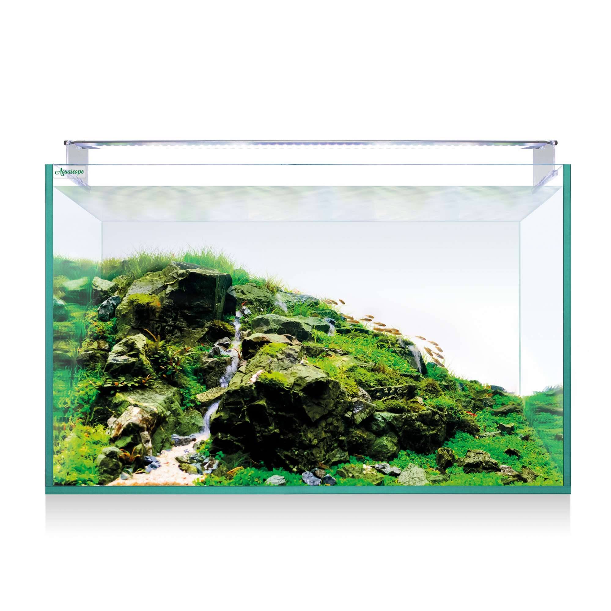 kaq200-kit-aquascape-rgb-pro-extra-claro-200-182-l_general_9564.jpg kaq200-kit-aquascape-rgb-pro-extra-claro-200-182-l_general_9564.jpg