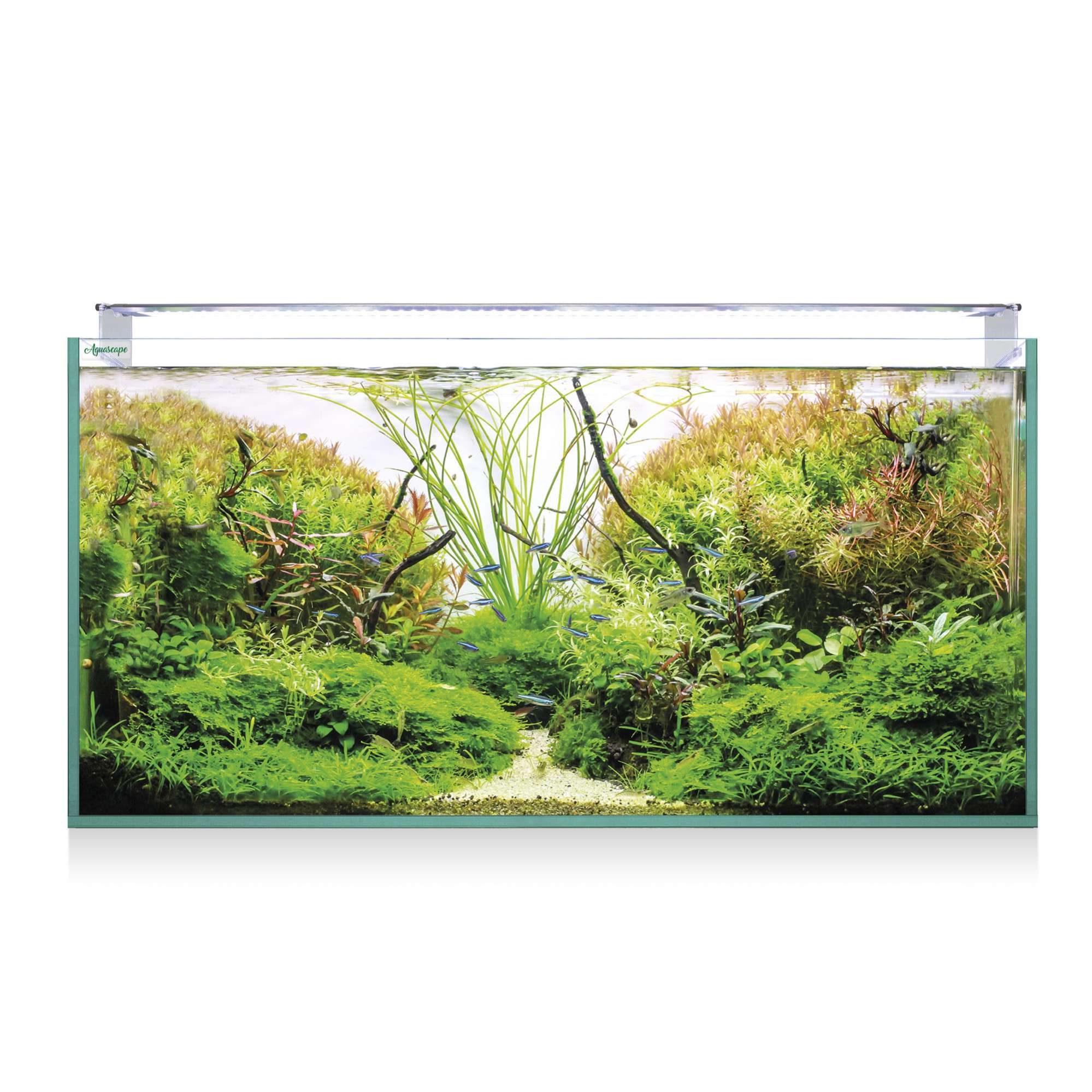 kaq250-kit-aquascape-rgb-pro-extra-claro-250-226-l_general_9565.jpg kaq250-kit-aquascape-rgb-pro-extra-claro-250-226-l_general_9565.jpg