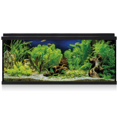 Kit AQUA LED 100 negro (100 l)