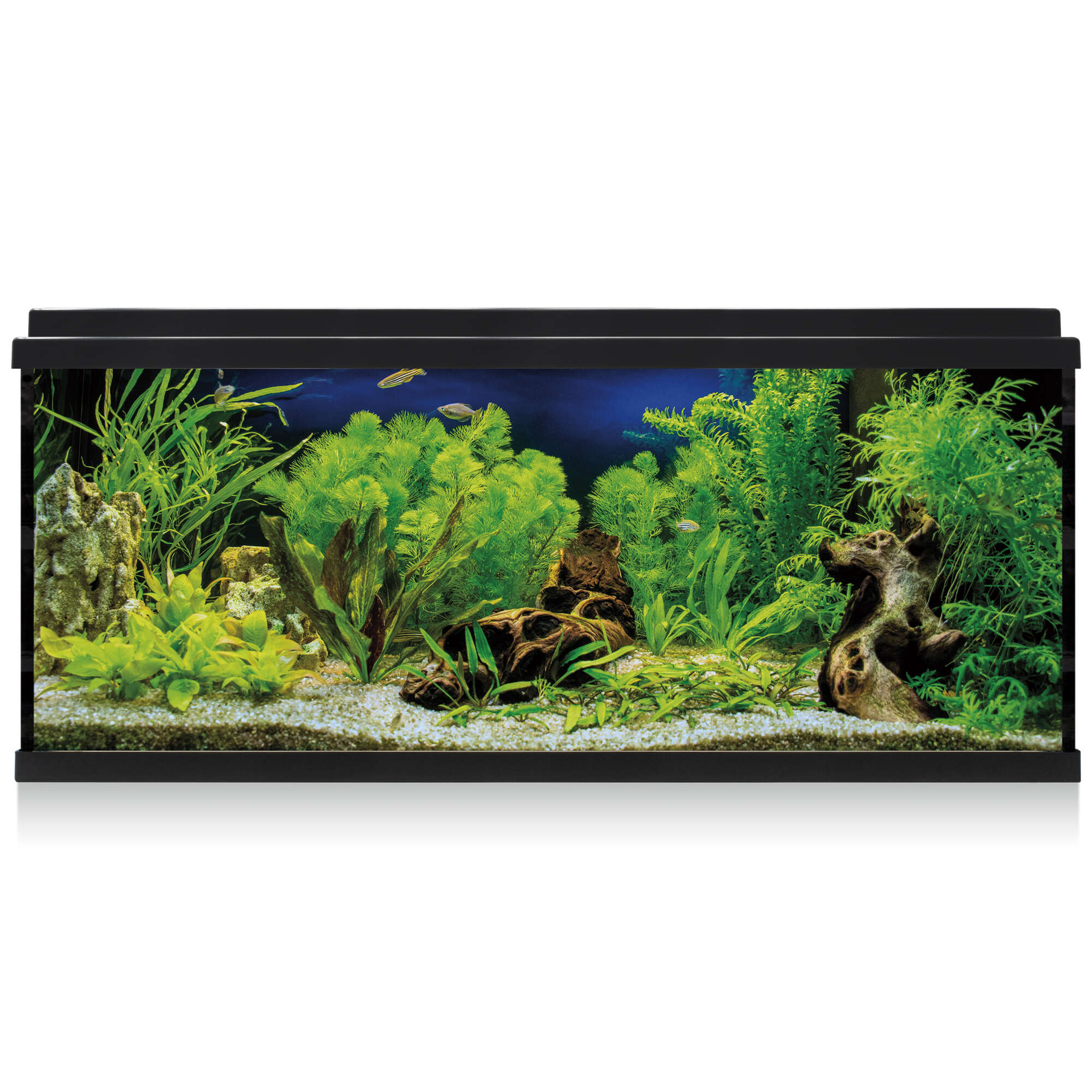 kdi100a-kit-aqua-led-100-negro-100-l_general_11987.jpg kdi100a-kit-aqua-led-100-negro-100-l_general_11987.jpg