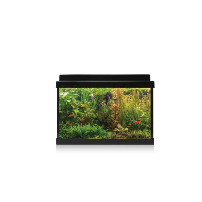 Kit AQUA LED 20 negro (20 l)