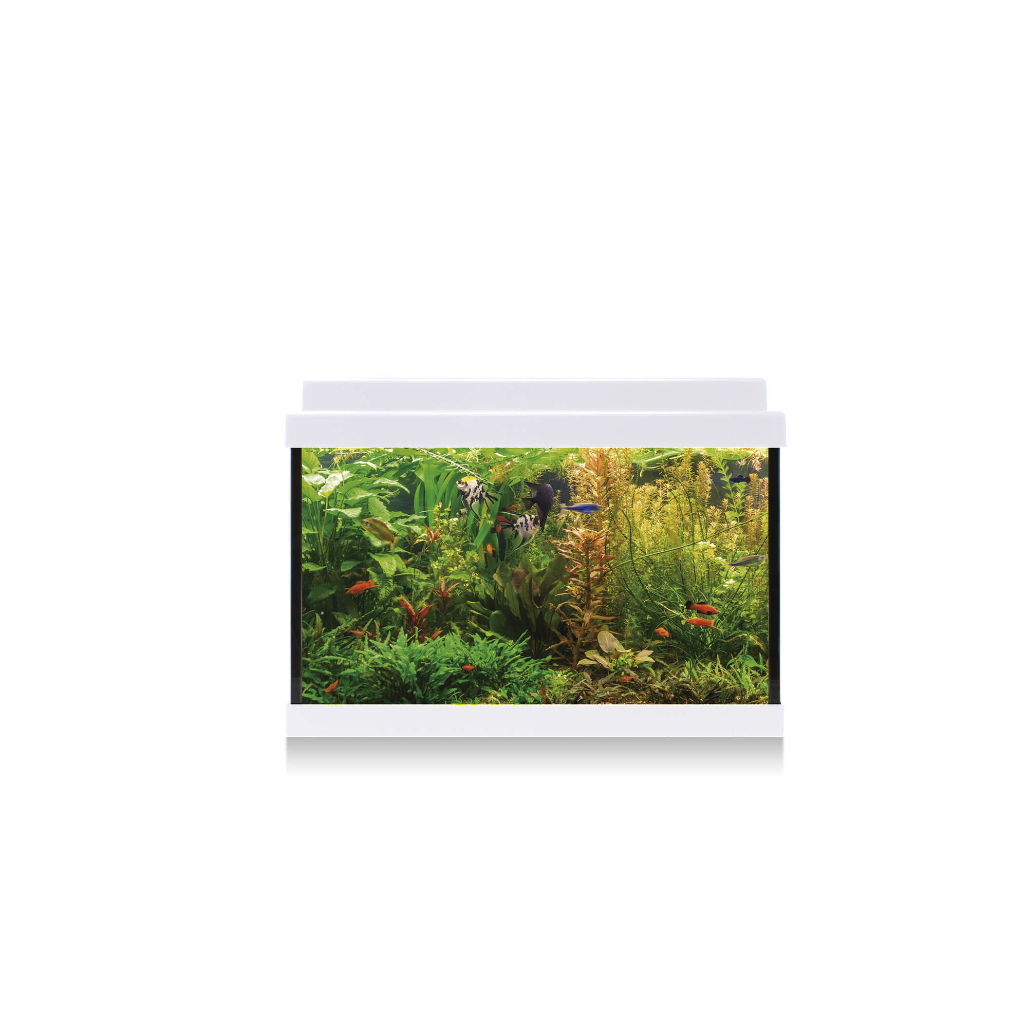 kdi20b-kit-aqua-led-20-blanco-20-l_general_11974.jpg kdi20b-kit-aqua-led-20-blanco-20-l_general_11974.jpg