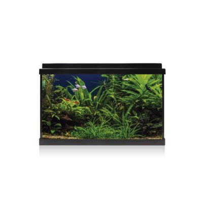 Kit AQUA LED 64 negro (64 l)