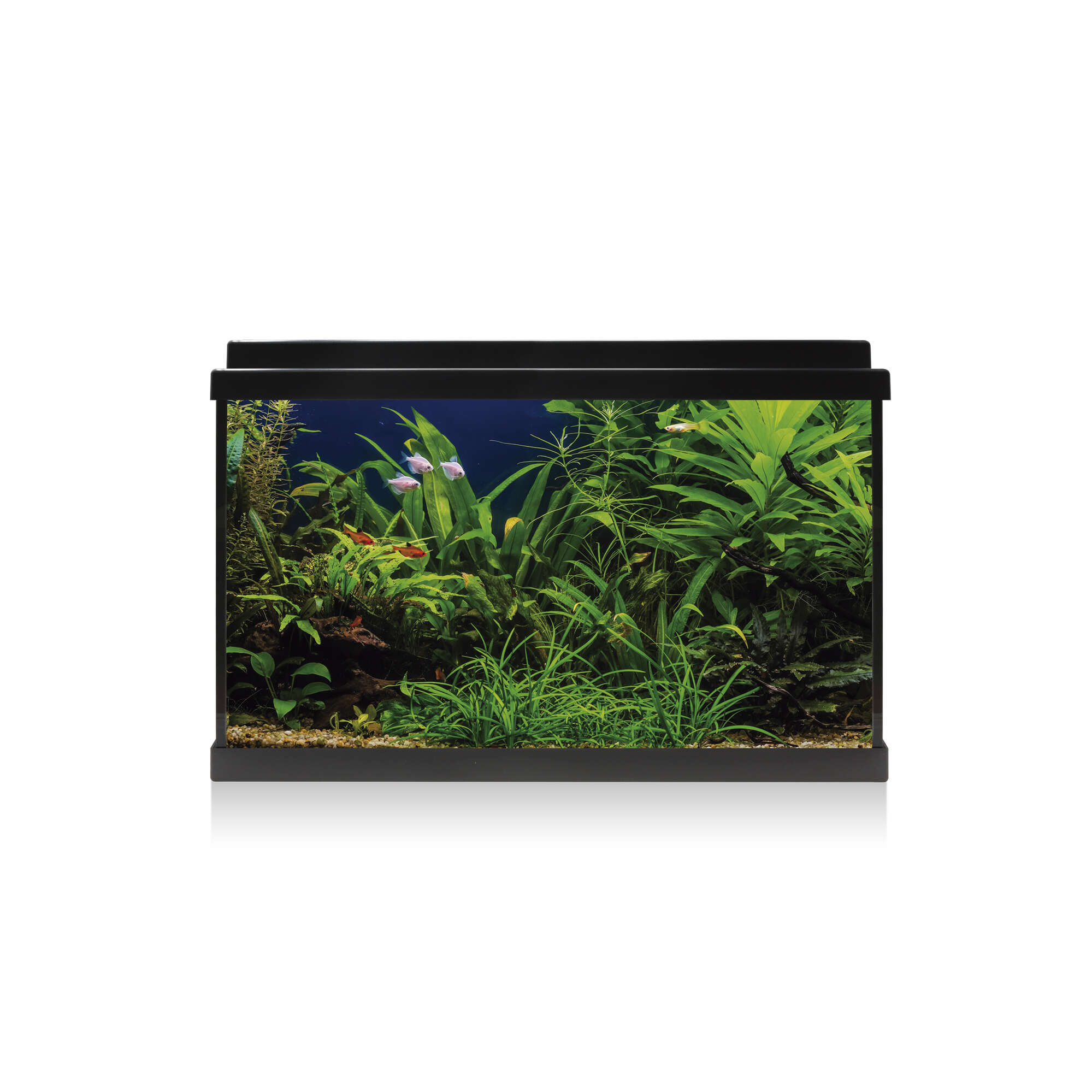 kdi64-kit-aqua-led-64-negro-64-l_general_11981.jpg kdi64-kit-aqua-led-64-negro-64-l_general_11981.jpg
