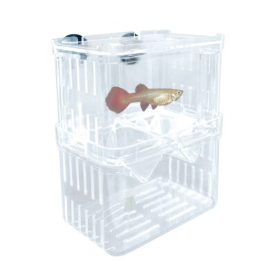 Paridera / Enfermería plástica (13 cm)