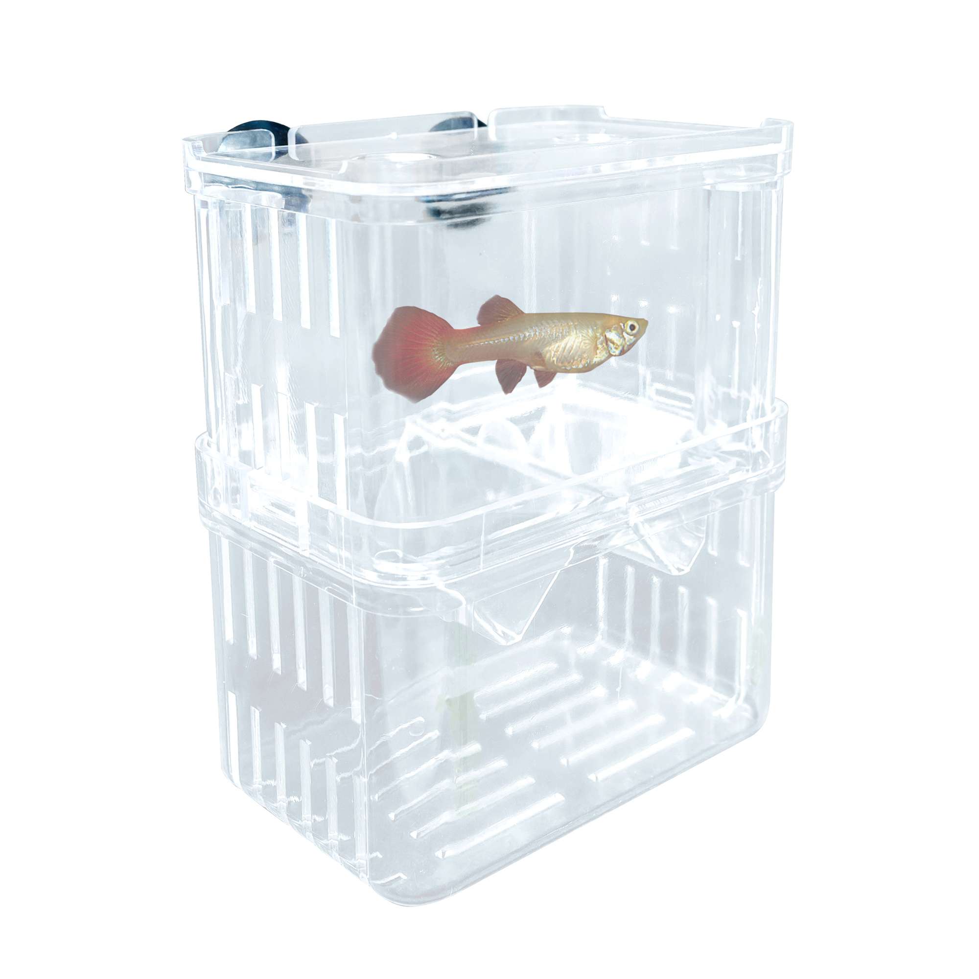 ap920-paridera-enfermeria-plastica-13-cm_general_248.jpg ap920-paridera-enfermeria-plastica-13-cm_general_248.jpg