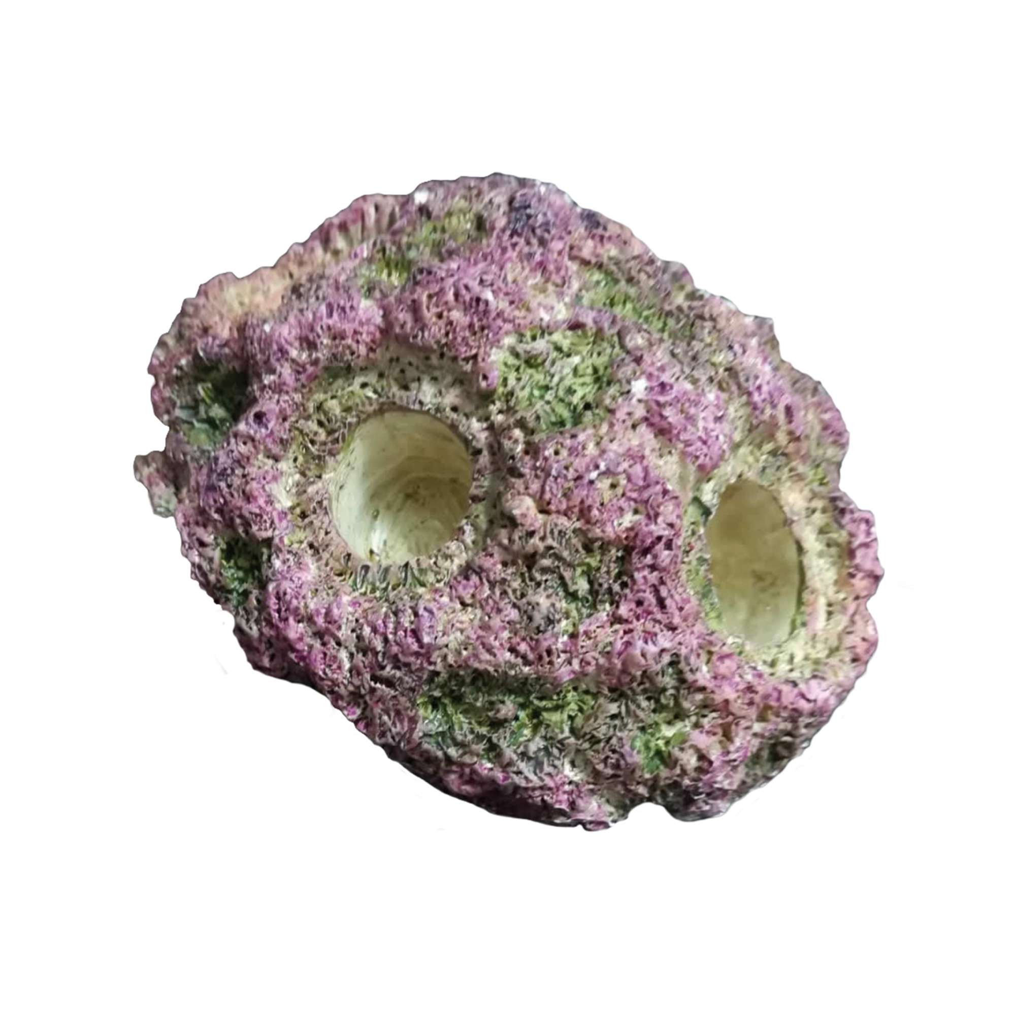 crp1004-roca-con-4-coral-plugs-aqua-ocean_general_8225.jpg crp1004-roca-con-4-coral-plugs-aqua-ocean_general_8225.jpg