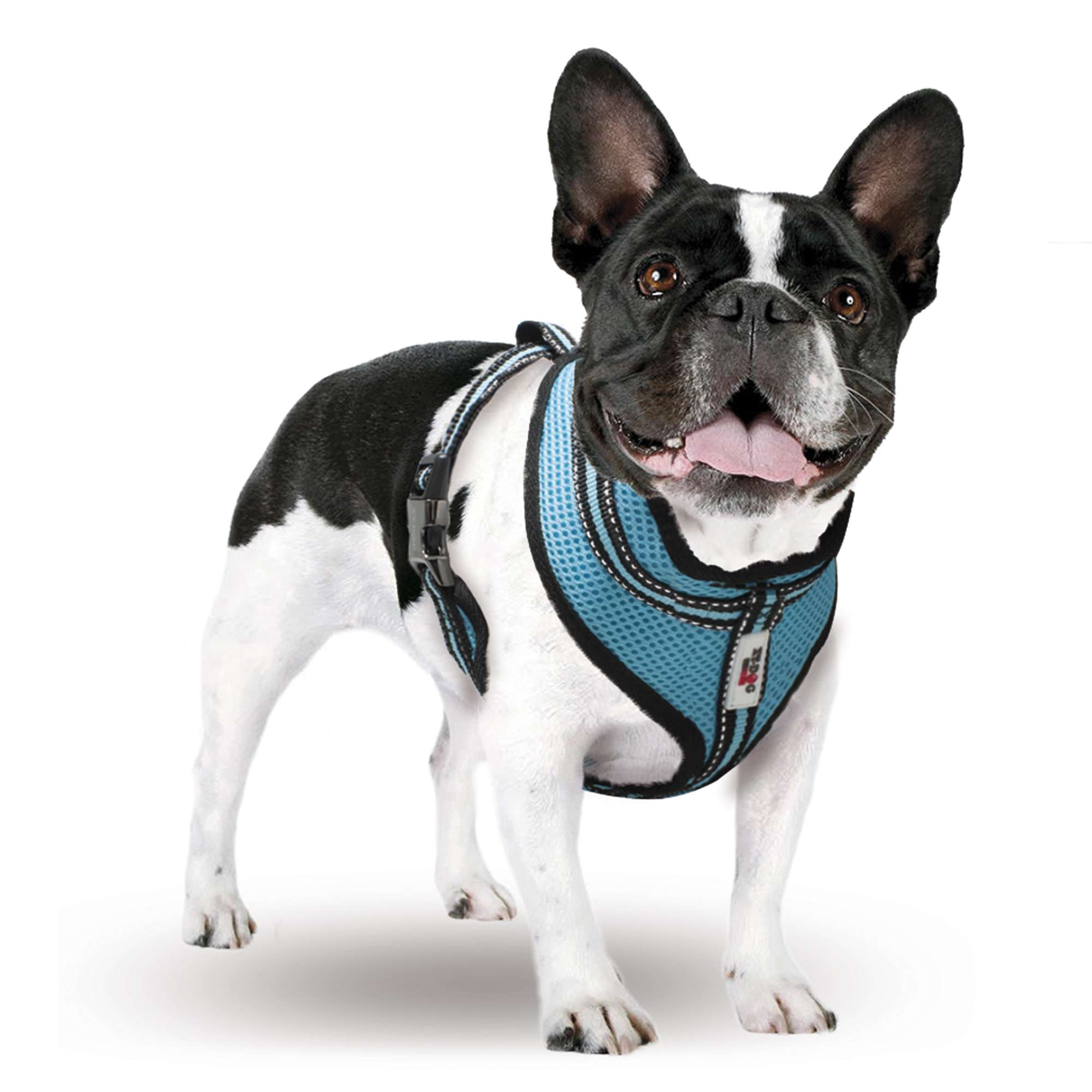 da7400-arnes-summer-xt-dog_general_1052.jpg da7400-arnes-summer-xt-dog_general_1052.jpg