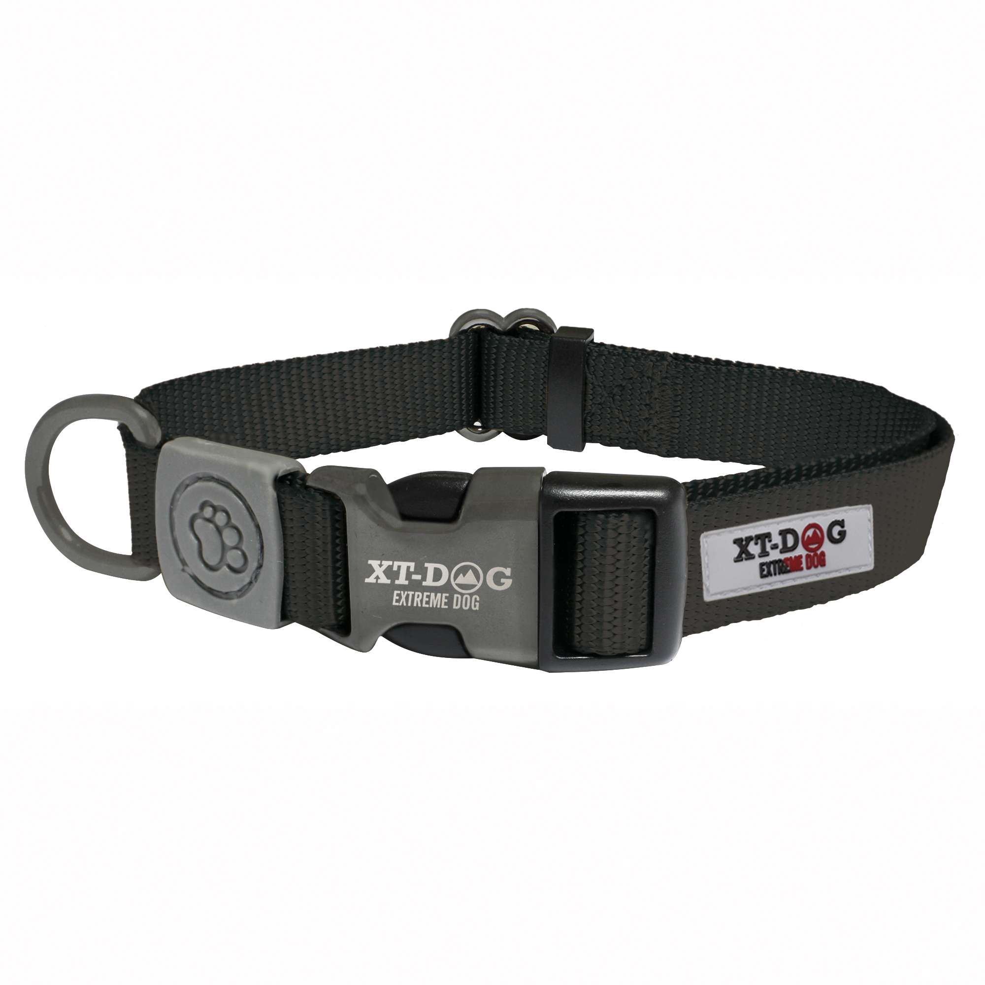 dl6002-collar-classic-xt-dog_general_1409.jpg dl6002-collar-classic-xt-dog_general_1409.jpg