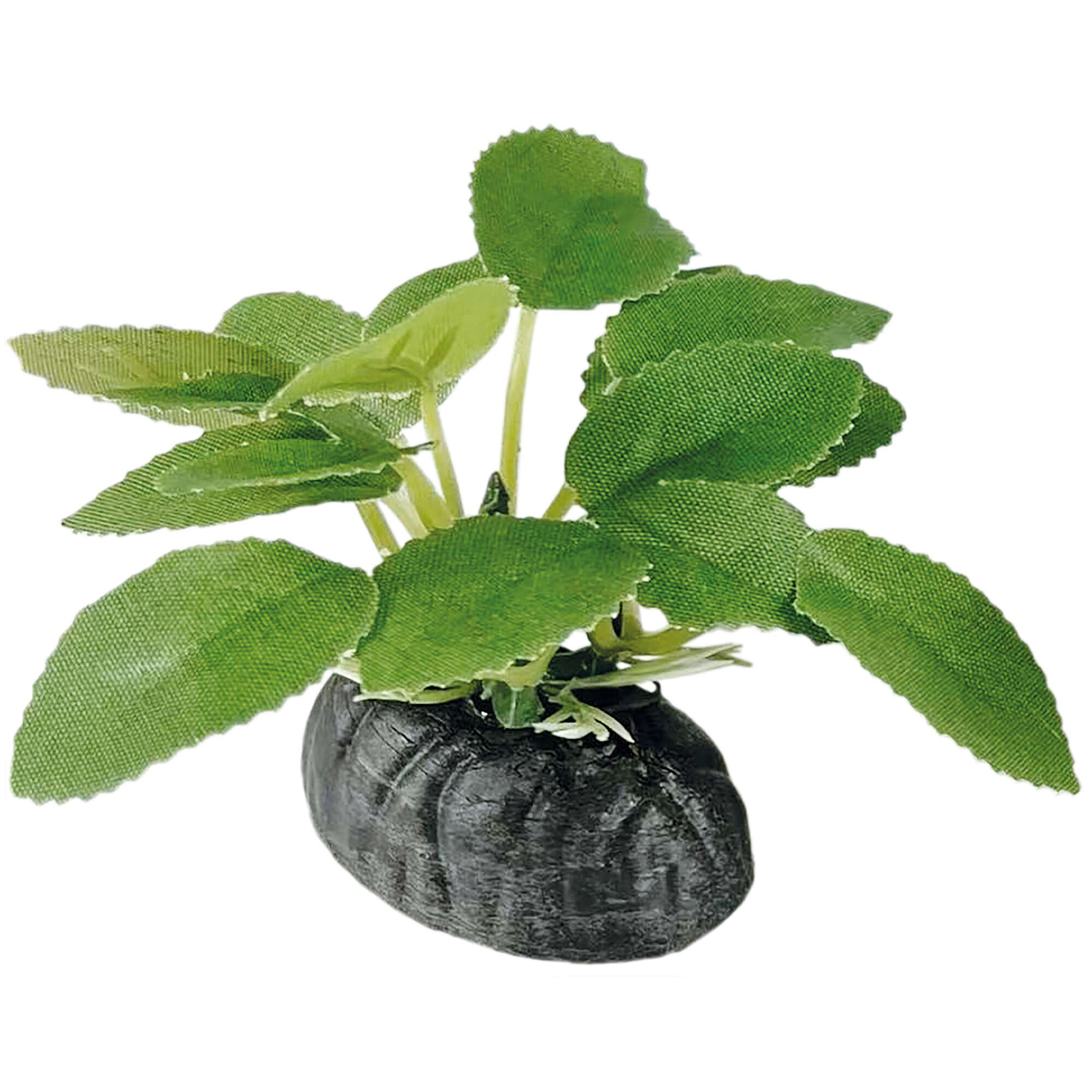 or400-lobelia-con-base-seda-6-cm_general_19988.jpg