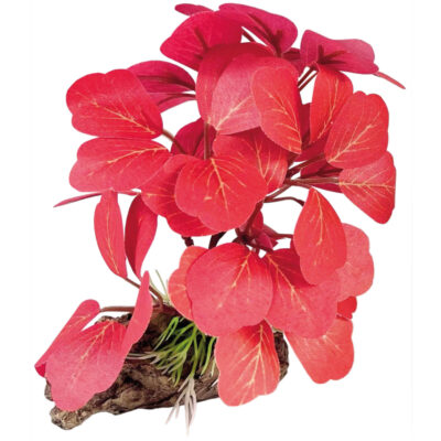 Nymphaea roja con tronco (SEDA) (13 cm)