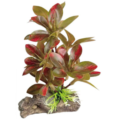 Ludwigia roja con tronco (SEDA) (13 cm)
