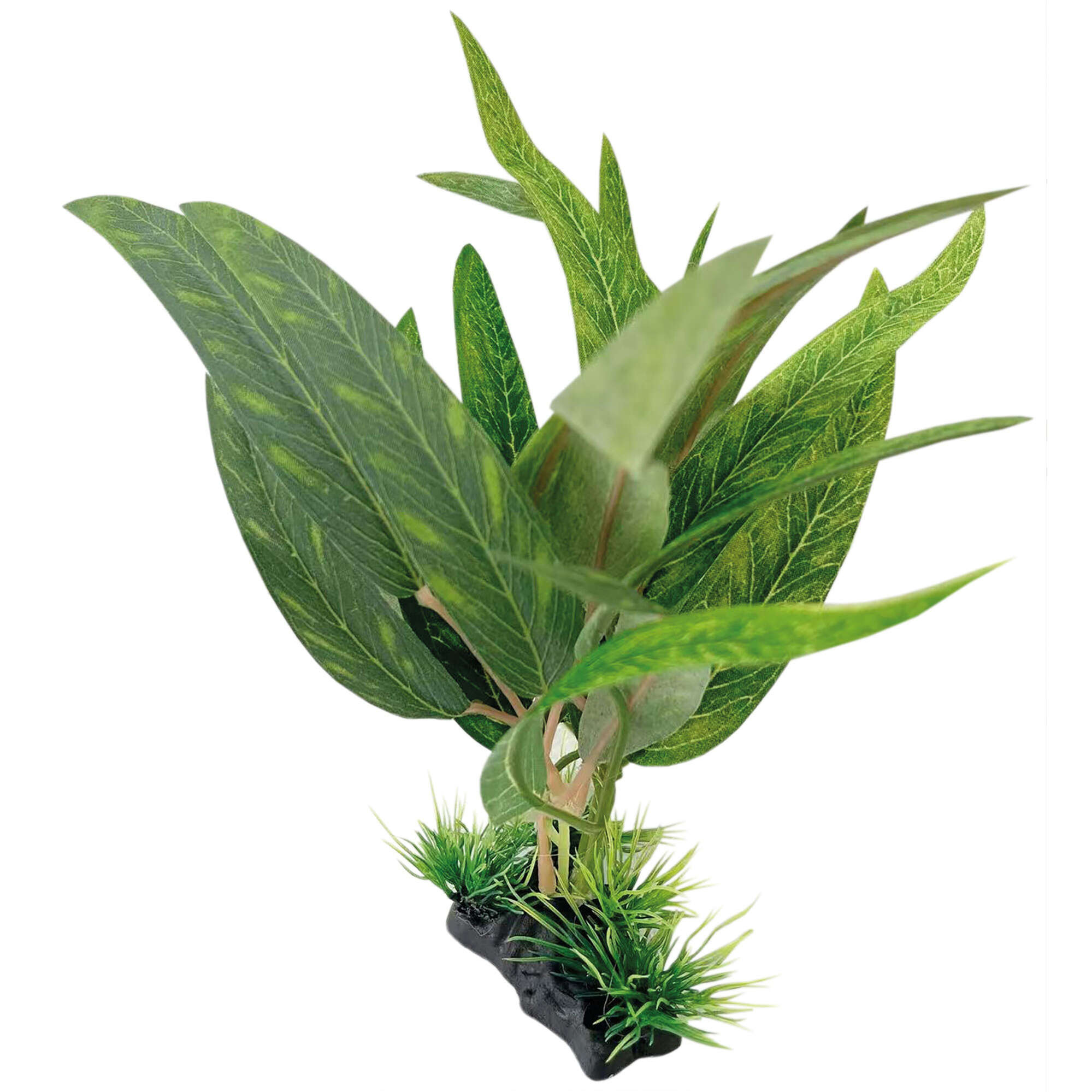 or431-aponogeton-verde-con-base-seda-25-cm_general_20013.jpg or431-aponogeton-verde-con-base-seda-25-cm_general_20013.jpg