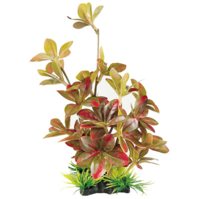 Ludwigia roja con base (SEDA) (23 cm)